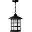 Freeport 1-Light Outdoor Hanging Lantern-2091150847-2091150843