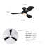 Ventilateur de plafond noir Hot Lights de 42 po avec lumières Hot Fan