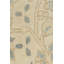 Tapis unique 9 pi 11 po x 13 pi 9 po des années 1940 Rose pâle / ivoire / bleu / taupe