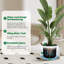 Pot Planter-1176478783