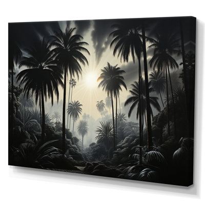 Palm Trees Palm at Night  Print