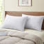 Coussin Cotesfield-1322760465