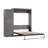 Velora Murphy Storage Bed-2021227697-2021227700