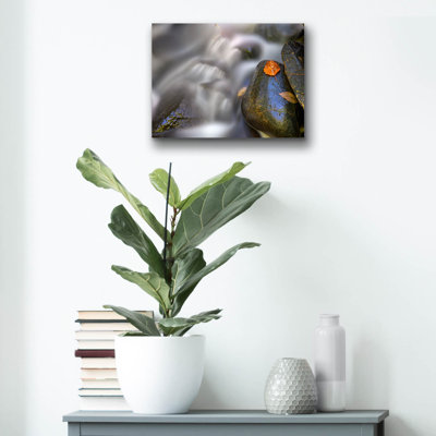 Art mural en verre Millwood Pines «Fallen Leaf And Mountain Stream» par Rick Berk