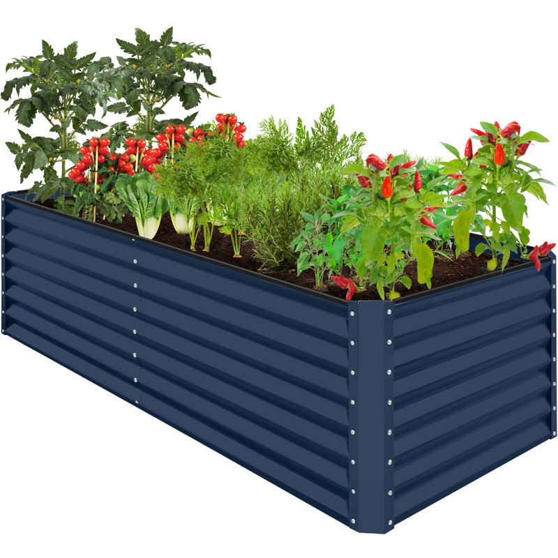 2ft Outdoor Metal Raised Garden Bed, Planter Box For Vegetables, Flowers Herbs, Navy, 24" H x 96" W x 48" D