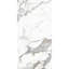 Calacatta Carrara 24'' x 48'' Marble Look Wall & Floor Matt Porcelain Tile