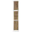 Thomas Bina Bookcase-189574362