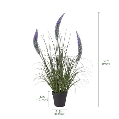 Adcock 2ft Artificial Onion Grass in Pot, Faux Tall Grass with Purple Pennisetum Grass Heads, Fake Foxtail Grass Plants Greenery Decor - for Housewarming Gift