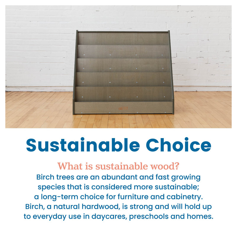 Gray Wash Birch Wood Kids' Single-Sided Book Display