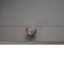 Beehive Large 40mm Cupboard Knob-52290434