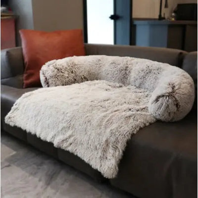 Dog House