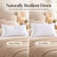 Oreillers en duvet d'oie blanche hongrois Serenity 700-96294480-96294481