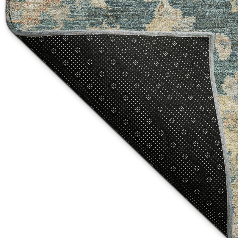 Machine Washable Indoor/Outdoor Francky ACN2355 Traditional Rug, Rectangle 1'8" x 2'6"