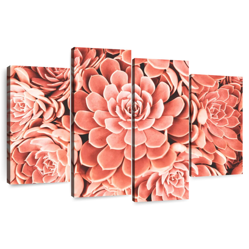 Harnek Coral Toned Succulents
