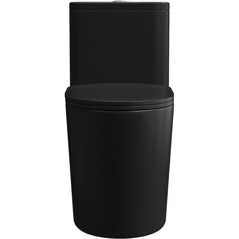 Toilette allongée une pièce à double chasse