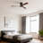 52 In. Indoor Flush Mount Matte Black Ceiling Fan With 3 Solid Wood Blades (Dark Walnut), 6-Speed Remote Control & 3CCT LED Light