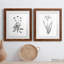 Inky Botanical I - ensemble de 2 peintures-1624088043-1624088054