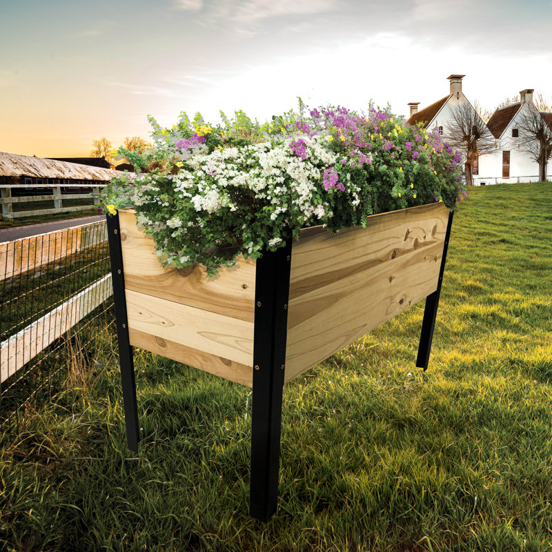 Alisanne Elevated Planter