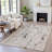 Machine Washable Indoor/Outdoor Xhevrie Linen Rug-112168587