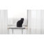 Siège ensoleillé pour chat Ozbourn