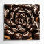 Desserts Hostess cupcakes Black Canvas Wall Art-780417410