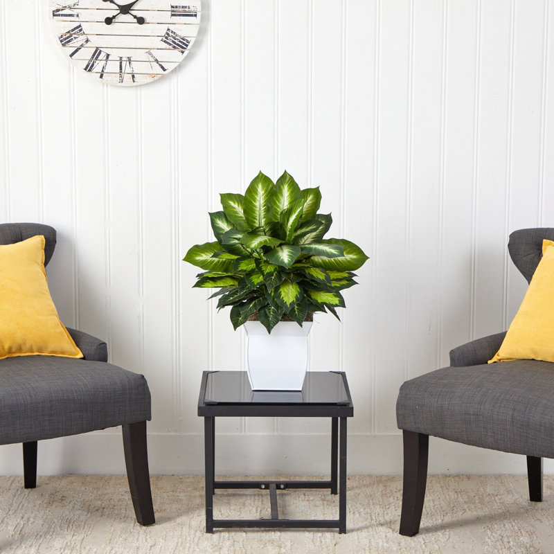 Dieffenbachia Artificial Plant in White Metal Planter