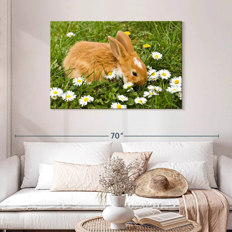 Brampt marguerites et lapin, H 30 po x l 45 po