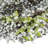Bird Nests - Set of 6 - Green