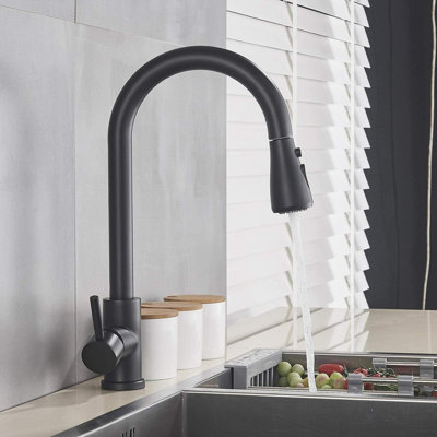 Belfry Kitchen Larsen Pull Out Kitchen Faucet