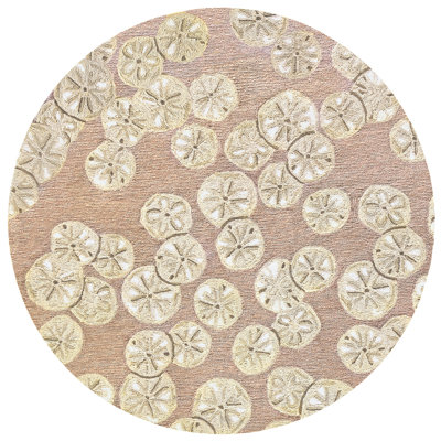 Anjuman Area Rug