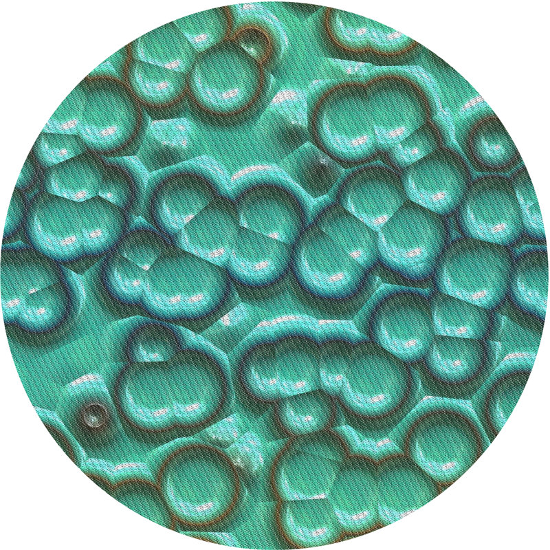 Tapis bleu turquoise/jaune à motifs, Rond 6 pi