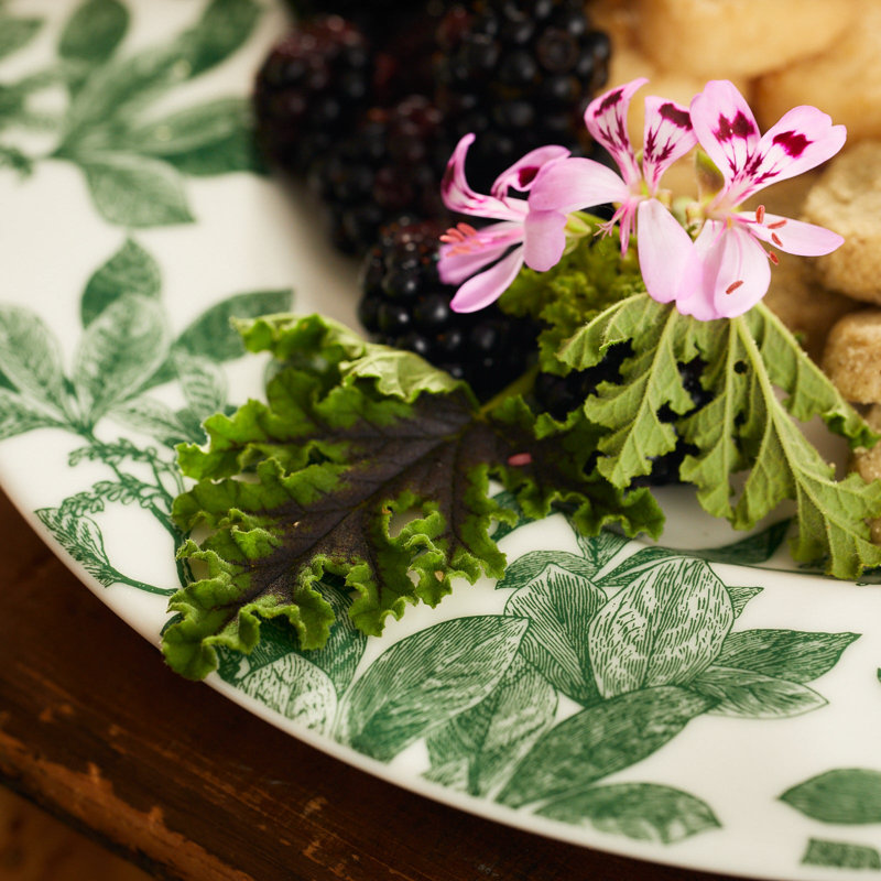 Arbor Premium Porcelain Dinner Plate