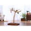 Pied de sol en forme d'arbre n ° 2 Coffeawood