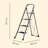 Ladders