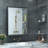 Cyrille Recessed & Surface Framed Medicine Cabinet with Mirror and Shelves-819392668-819396606