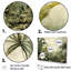 «Vintage Jungle Landscape», ensemble d'art mural sur toile Jungle-107742849-107742851