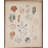 Assorted Leaves-480373206