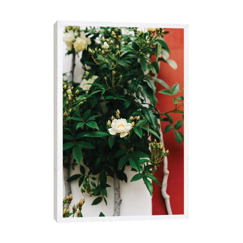 Positano Blooms I by Bethany Young - Print on Canvas, 66.04cm H x 45.72cm W x 3.81cm D, White Framed