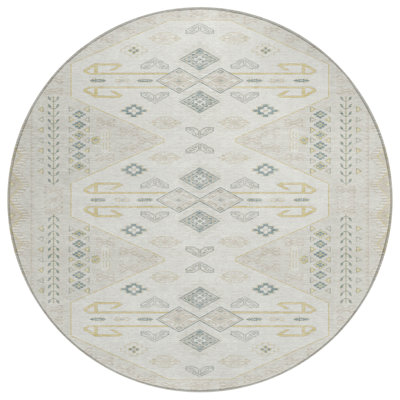 Machine Washable Indoor/Outdoor Chantille ACN2565 Global Rug