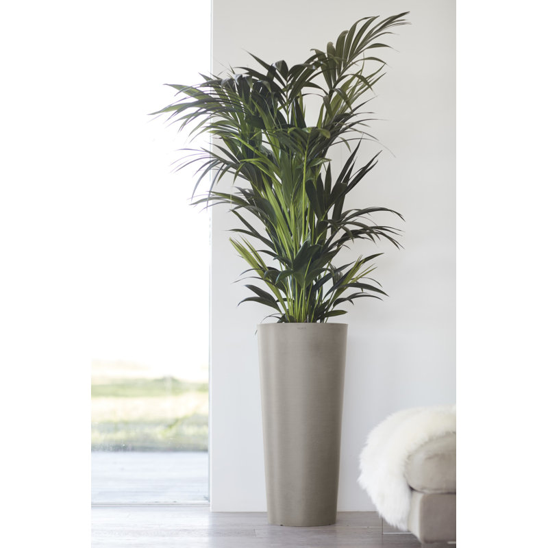 Cyanna Pot Planter, 26" H x 13.5" W x 13.5" D, Taupe
