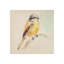Pretty Little Bird IV Print by Michelle Bennett-26706014-26706015