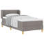 Box Spring Bed With Mattress - Fabric-213748459-213748461
