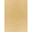 Tapis oriental intérieur / extérieur Finbur-753311883