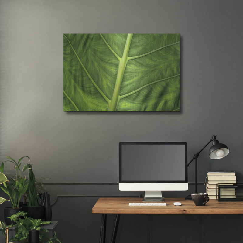 " Leaf Details " by Dennis Frates, 24" H x 36" W