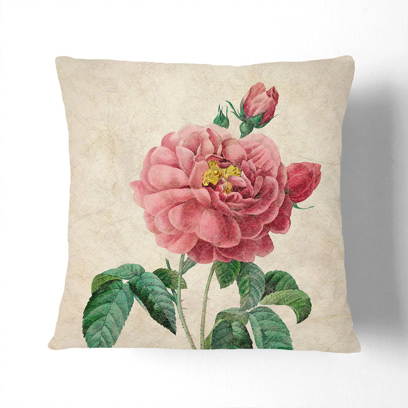 Blush Cabbage Rose by Pierre-Joseph Redoute Cushion with Filling, 55cm H x 55cm W x 20cm D, Stone