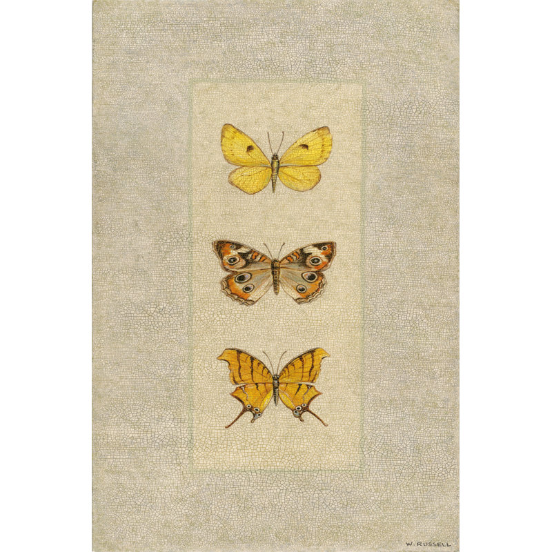 Butterfly Trio I by Wendy Russell - Wrapped Canvas Painting, 46cm H x 30cm W