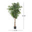 Ficus artificiel