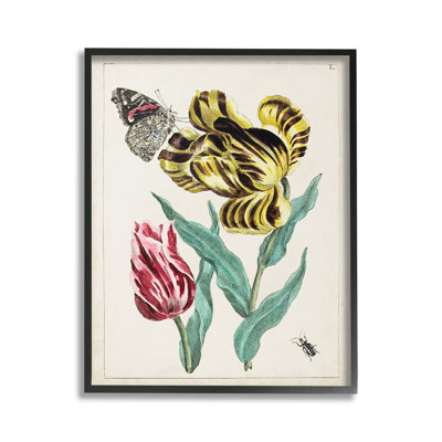 Rétro, nature et insectes, estampe numérique