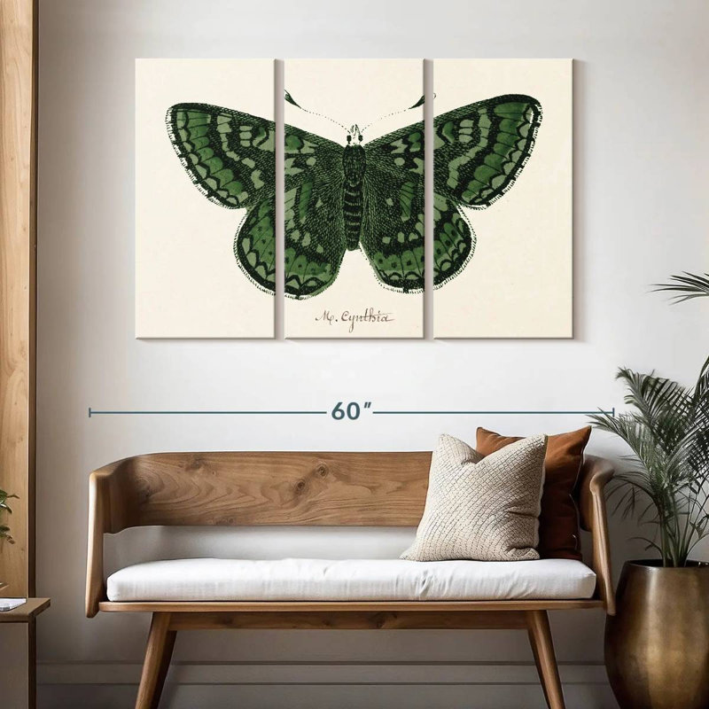 Antique Butterfly I, 32" H x 50" W