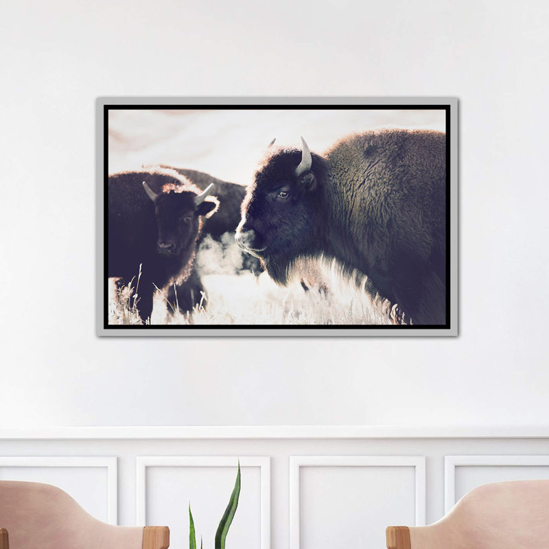 Photographie buffalo, H 26 po x l 40 po x P 1,5 po, Toile avec cadre argenté